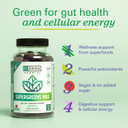 Zhou Supergreens Max Gummies, Greens Antioxidant Blend, Superfood Support Supplement, Digestion And Immune Health, Cellular Energy, Prebiotic And Probiotic Blend, No Added Sugar, 60 Vegan Gummies