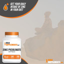 Bulksupplements.Com Zinc Picolinate Softgels - Zinc Supplements, Zinc 11Mg, Zinc Capsules - Zinc Softgels For Immune Support, Gluten Free - 1 Softgel Per Serving, 240 Softgels