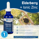 Trace Minerals | Elderberry + Ionic Zinc | Minerals To Support Healthy Immune Function | Strong Antioxidant | Non-Gmo, Gluten Free, Vegan Certified | 2Oz 40Mg Zinc Per Serving