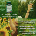 Diamond Herpanacine Healthy Horizons Multivitamin - Natural Multivitamin To Support Stress Relief And Provide Essential Nutrients - Daily Multivitamin For Men And Women - (90 Count)