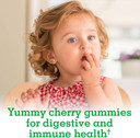 Garden Of Life Probiotics For Kids, Cherry Flavor Gummies - Sugar Free Once Daily Kids Probiotic Gummies, 3 Billion Cfu Probiotics Plus Fiber For Digestive & Immune Health, 30 Vegetarian Gummies
