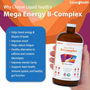 Liquidhealth Children Focus + Energy Vitamin Bundle