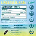 Giorana 1600 Mg Liposomal Nad+ Supplement, Nad+ Boosting Supplement,Similar To Nicotinamide Riboside,Superior Absorption,Vitamin B3 For Aging Defense,Longevity,Energy,Repair,Non-Gmo, 60 Softgels60 Count (Pack Of 1)