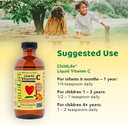 Childlife Essentials Liquid Vitamin C - Immune Support, Vitamin C Liquid, All-Natural, Gluten-Free, Allergen Free, Non-Gmo, High In Antioxidants - Orange Flavor, 4 Fl Oz Bottle (Pack Of 2)
