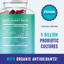 Probiotic Gummies With Vitamin C And Folic Acid | 5 Billion Cfu Probiotics | Gut Health, Digestion, & Immune System Support | Gluten-Free, Non-Gmo, Berry Flavor | With Organic Fruit Extracts | 60 Ct