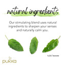 Pukka Organic Tea Bags, Tulsi Clarity, Herbal Holy Basil Tea, 20 Count (Pack Of 3)20 Count (Pack Of 3)