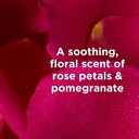 Andalou Naturals Body Btr, 1000 Roses, Velvet Soft, 8 Fl Oz