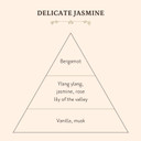 Sabon Shower Oil  Delicate Jasmine | Luxurious Body Wash | Bergamot, Ylang, Rose | Enriched With 4 Natural Oils | For All Skin Types | 10.5 Fl Oz