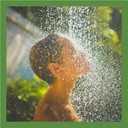 Wild Ferns Manuka Honey Shower Gel