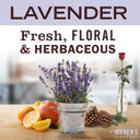 Mrs. Meyer'S Hand Soap Refill, Made With Essential Oils, Biodegradable Formula, Lavender, 33 Fl. Oz - Pack Of 6