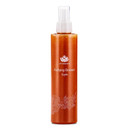 Shankara Purifying Cleanser For Women With Lavender, Witch Hazel, And Olive Leaf  Perfect Facial Cleanser For Removing Makeup, Dirt, And Excess Oil (200Ml/1 Bottle)