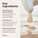 Isntree Green Tea Fresh Emulsion 120Ml 4.05 Fl.Oz | Green Tea Extract From Jeju | Balances Oil & Moisture | Lightweight Texture