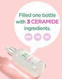 Ample:N Ceramide Shot Serum  Anti Aging And Hydrating Serum With Ceramide For Deep Moisturization  For Dry & Rough Skin To Reduces Wrinkles & Repairs Skin, 3.38 Fl.Ozceramide3.38 Fl Oz (Pack Of 1)