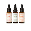 Plant Therapy Facial Serum Trio Set 1 Oz Each, Vitamin C & Hyaluronic Acid, Rose With Bakuchiol & Tea Tree With Niacinamide, Reduces The Appearance Of Fine Lines & Wrinkles