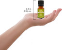 Plantlife Hemp Seed Aromatherapy Essential Oil - Straight From The Plant 100% Pure Therapeutic Grade - No Additives Or Fillers - 10 Ml