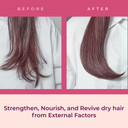 Amos Professional True Repair Night Cream 6Fl Oz (180Ml) | Intensive Nourishing Leave-In Conditioner For Dry & Damaged Hair | Anti-Frizz, Hydration And Nutrition No Wash & Leave-In Conditioner | Korean Leave-In Conditioner