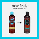 Hask Argan Oil Repairing Shampoo + Conditioner Set For All Hair Types, Color Safe, Gluten-Free, Sulfate-Free, Paraben-Free, Cruelty-Free - 1 Shampoo And 1 Conditioner