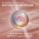 Lã¢ÂOrã£Â©Al Paris Excellence Universal Nudes Permanent Hair Color, Ammonia Free Hair Dye For Gray Hair Coverage, 8N Natural Blonde, 1 Hair Dye Kit