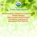 Giovanni Eco Chic Straight Fast Straightening Elixir - Helps Smooth Curls & Straighten Hair, Heat Protectant For Hair, Paraben-Free Straight Fast Elixir - 6.8 Fl Oz (2 Pack)