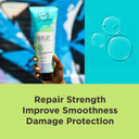 Carol'S Daughter Born To Repair Nourishing Shampoo, Sulfate-Free Hair Care For Curly Hair With Shea Butter, 11 Fl Oz