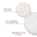 Joico Youthlock Shampoo Formulated With Collagen | Youthful Body & Bounce | Reduce Breakage & Frizz | Free Of Sls/Sles Sulfates