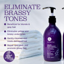 Luseta Purple Conditioner For Colored Hair 16.9Oz, Women Hair Conditioner For Grey Hair And Blonde Hair, Best Purple Conditioner For Dry And Damaged Hair Sulfate & Paraben Free16.9 Fl Oz (Pack Of 1)