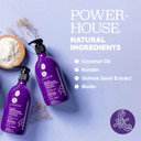 Luseta Purple Conditioner For Colored Hair 16.9Oz, Women Hair Conditioner For Grey Hair And Blonde Hair, Best Purple Conditioner For Dry And Damaged Hair Sulfate & Paraben Free16.9 Fl Oz (Pack Of 1)