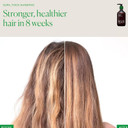 The Nue Co. Supa Thick Shampoo, Supports Hair Growth And Scalp Health, Hydrating, For All Hair Types, Vegan, 8.45 Fl Oz