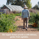 Amy'S, Chili, Gluten Free, Vegetarian, Organic, Spicy, Jalapeã£Â±O Pepper, 14.7 Oz, Pack Of 6