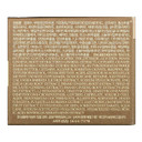 [I'M From] Ginseng Eye Cream 30G - Rare Ginseng Nourishment For Tired Eyes, Wood-Cultivated Ginseng, Moisture-Lock Formula, Firm Face Line