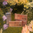 Rom&Nd Better Than Palette Eyelid Color 8G (01 Pampas Garden)01 Pampas Garden