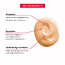 Mirabella Skin Tint Creme Foundation, Iiw Warm Undertone, Oil-Free Mineral Liquid Foundation - Medium Coverage Delivers Moisture And Hydration - Minimizes Fine Lines & Wrinklesshade 4 Warm Undertone (Iiw)