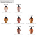 Temptu Perfect Canvas Airbrush Highlighter: Long-Wear, Layerable, Light-Reflecting Radiance & Shimmer, Natural-Looking Luminosity, Weightless Illuminator, Buildable Formula, 7 Shadeschampagne