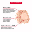Mirabella Invincible For All Pure Press Foundation Powder (Tan T11) - Mineral Face Powder Compact Make-Up For Fine Lines & Wrinkles - Matte Pressed Powder Makeup - Paraben-Free & Talc Freetan T111.88 Pound (Pack Of 1)