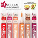 Absolute New York Lip Plump High-Shine Glossbrown Sugar
