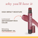 Burt'S Bees Shimmer Lip Tint Stocking Stuffers Set, Tinted Lip Balm Stick, Moisturizing For All Day Hydration With Natural Glowy Pigmented Finish & Buildable Color, Fig (4 Pack)