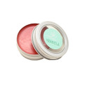 Bath & Body Works Palm Trees Sunset Nightlight Wallflowers Fragrance Plug And A Strawberry Lip Balm