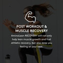 Rsp Aminolean Recovery - Post Workout Bcaas Amino Acids Supplement + Electrolytes, Bcaas And Eaas For Hydration Boost, Immunity Support - Muscle Recovery Drink, Vegan Aminos, Tropical Punch