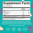 Maryruth Organics Gummies Sugar Free Made With Irish Sea Moss For Gut Health And Immune Support Formulated For Adults And Kids Ages 4+ Vegan Non-Gmo Gluten Free | 60 Count