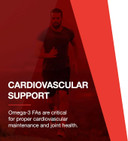 Protocol Ultra Omega 3-D - 600Mg Epa, 300Mg Dha & 1,000 Iu Vitamin D3 - Fish Oil For Brain Support, Heart & Nervous System Health* - Epa Dha Omega Supplement - Non-Gmo & Halal - 90 Softgels