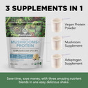 Plantfusion Mushroom Protein Powder - 3 In 1 Vegan Protein Powder, Mushroom Supplement, And Adaptogen Supplement - Support Mental Focus, Immunity, And Recovery - Vanilla 1Lb