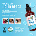 Maryruth Organics Zinc Supplements For Immune Support, Ionic Zinc For Kids & Adults, Liquid Zinc Supplement, 40 Day Supply, Zinc Sulfate, Skin Care Supplement, Vegan, Gluten Free, Glycerin Based, 4 Oz