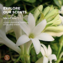 Hemp Seed Hand & Body Lotion - Soothe Dry Skin - Argan Oil, Hemp Seed Oil - Light, Non-Greasy Formula - Vegan & Cruelty Free