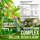 Joyli Hemp Gummies - Natural Lung Cleanse With Mullein Leaf & Reishi Mushroom - Extra Strength Clean Lung Support Supplement With Vitamins A, C, D & E - Sugar-Free, Vegan, Non-Gmo - 60 Edibles