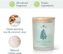 Plant Therapy Northern Fir Naturally Scented Candle 8 Oz Hand-Poured Coconut & Soy Wax Blend, Refreshing Forest Scent, Chic Frosted White Jar With Wooden Lid