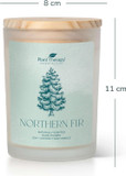 Plant Therapy Northern Fir Naturally Scented Candle 8 Oz Hand-Poured Coconut & Soy Wax Blend, Refreshing Forest Scent, Chic Frosted White Jar With Wooden Lid