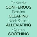 Plant Therapy Kidsafe Sniffle Stopper Essential Oil Blend Pre-Diluted Roll-On 10 Ml (1/3 Oz) Respiratory Support Blend 100% Pure, Natural Aromatherapy, Therapeutic Grade Plant Therapy Kidsafe Sniffle Stopper Essential Oil Blend Pre-Diluted Roll-On 10 Ml (1/3 Oz) Respiratory Support Blend 100% Pure, Natural Aromatherapy, Therapeutic Grade