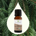 Plant Therapy Organic Atlas Cedarwood Essential Oil 100% Pure, Usda Certified Organic, Undiluted, Natural Aromatherapy For Diffusion, Skin, And Hair, Therapeutic Grade 10 Ml (1/3 Oz)