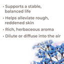 Plant Therapy Organic Blue Yarrow Essential Oil 5 Ml (1/6 Oz) 100% Pure, Undiluted, Therapeutic Grade