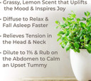 Plant Therapy Melissa Essential Oil 5 Ml (1/6 Oz) 100% Pure, Undiluted, Therapeutic Grade